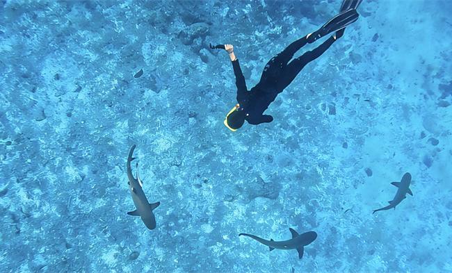 让斐济的海风和故事，唤醒你的旅行计划