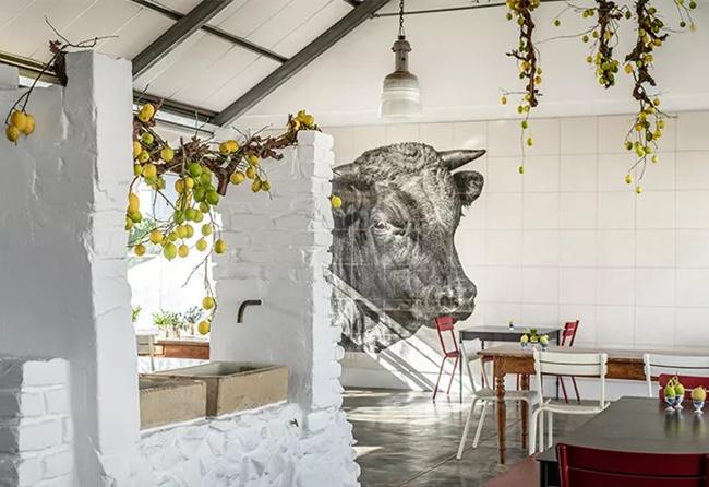 Spier能看猛禽，La Motte能听古典乐，Babylonstoren能逛仙人掌迷宫——酒庄？明明是文化综合体